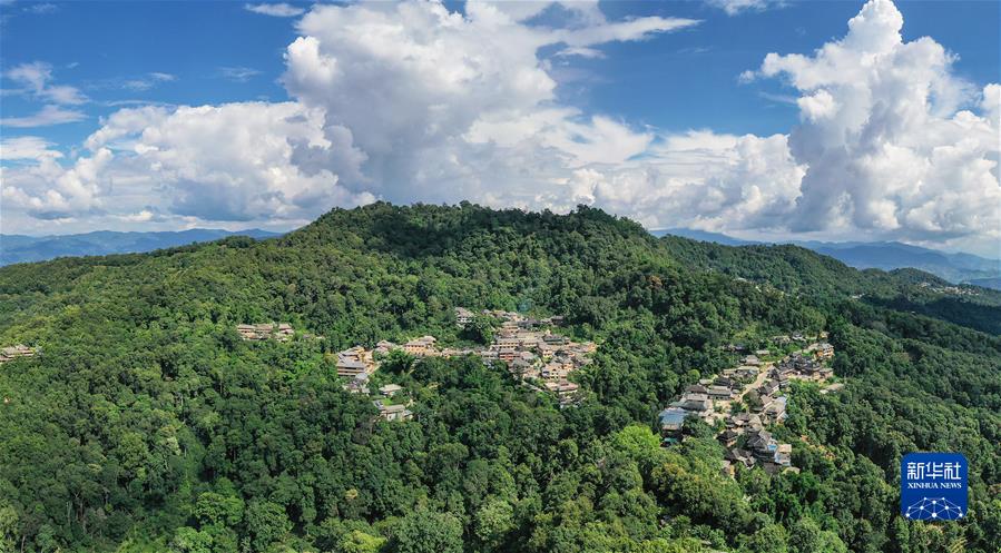 (社會(huì ))(1)“普洱景邁山古茶林文化景觀(guān)”成功申遺