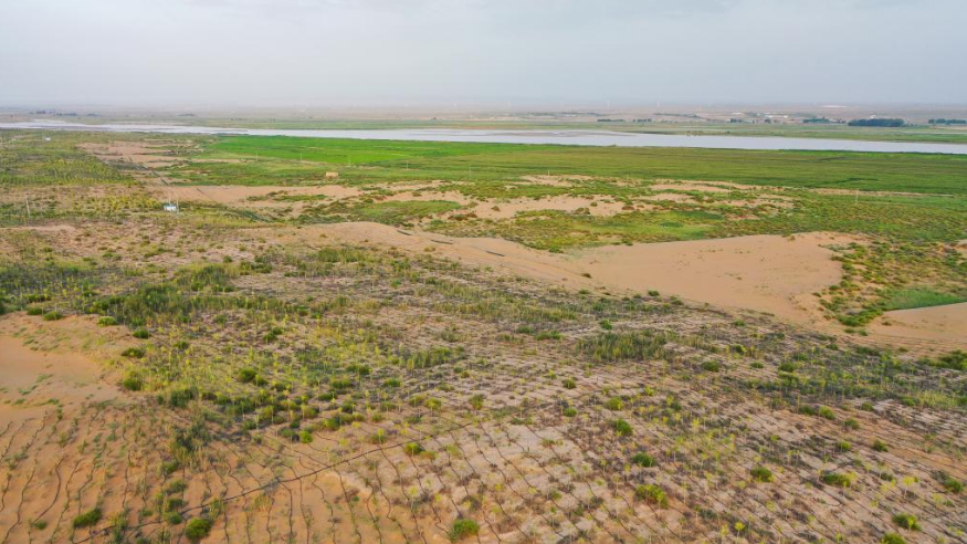 內蒙古阿拉善：生態(tài)修復 阻沙入河