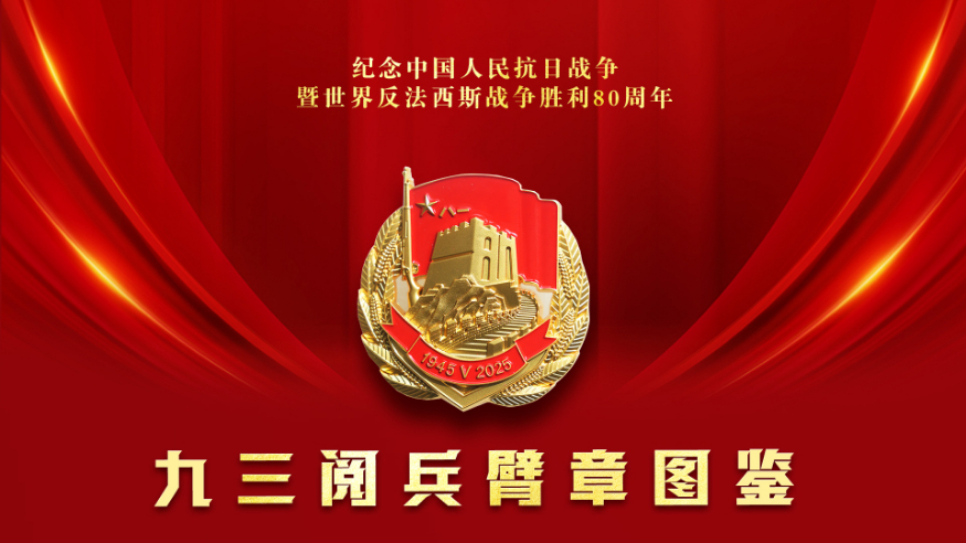 請收藏！九三閱兵臂章圖鑒