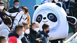 透過(guò)“冰墩墩”，感受可愛(ài)的中國