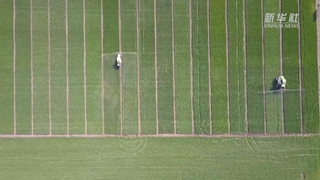 如何讓假劣化肥不再坑農害農？