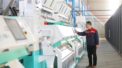 江西春耕新觀(guān)察之“糧王”升級:“加工精”“品牌推”“平臺賣(mài)”