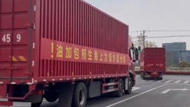 那只“跳進(jìn)”愛(ài)心蔬菜包的手機咋樣啦？請聽(tīng)刷屏“奇遇”后續……