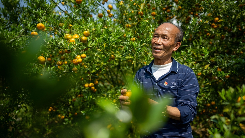 戰山斗山，一代又一代“石漠愚公”書(shū)寫(xiě)傳奇