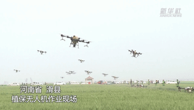 無(wú)人機飛防“蟲(chóng)口奪糧” 護航夏糧保豐收
