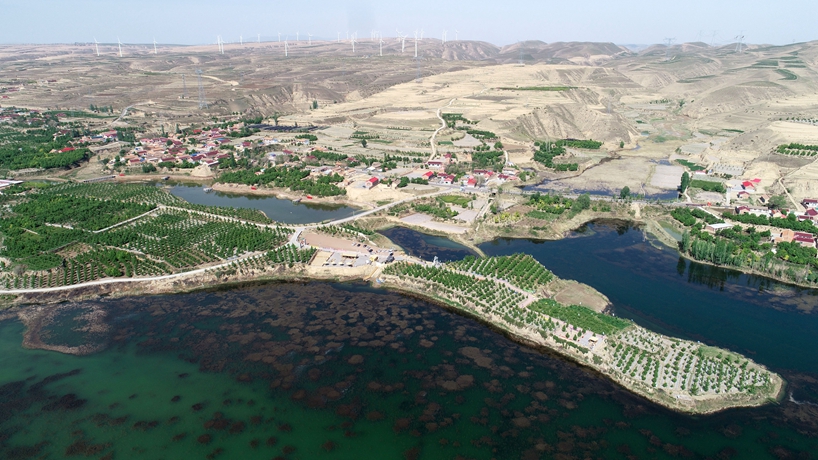 “四權”改革 “點(diǎn)金”六盤(pán)山——西海固向改革要動(dòng)力推動(dòng)鄉村振興