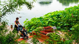 告別大拆大建，老城煥發(fā)新生——北京老城正在發(fā)生的變遷