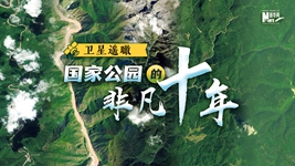 衛星遙瞰，國家公園的非凡十年
