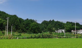 古坊鄉新事——大別山革命老區鄉村振興一線(xiàn)見(jiàn)聞