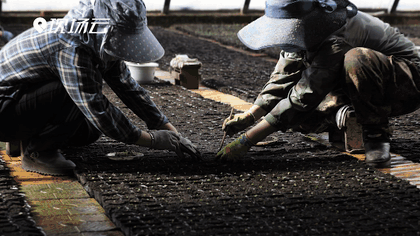 萬(wàn)象“耕”新！碼住人間四月天