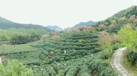 萬(wàn)象&ldquo;耕&rdquo;新！碼住人間四月天