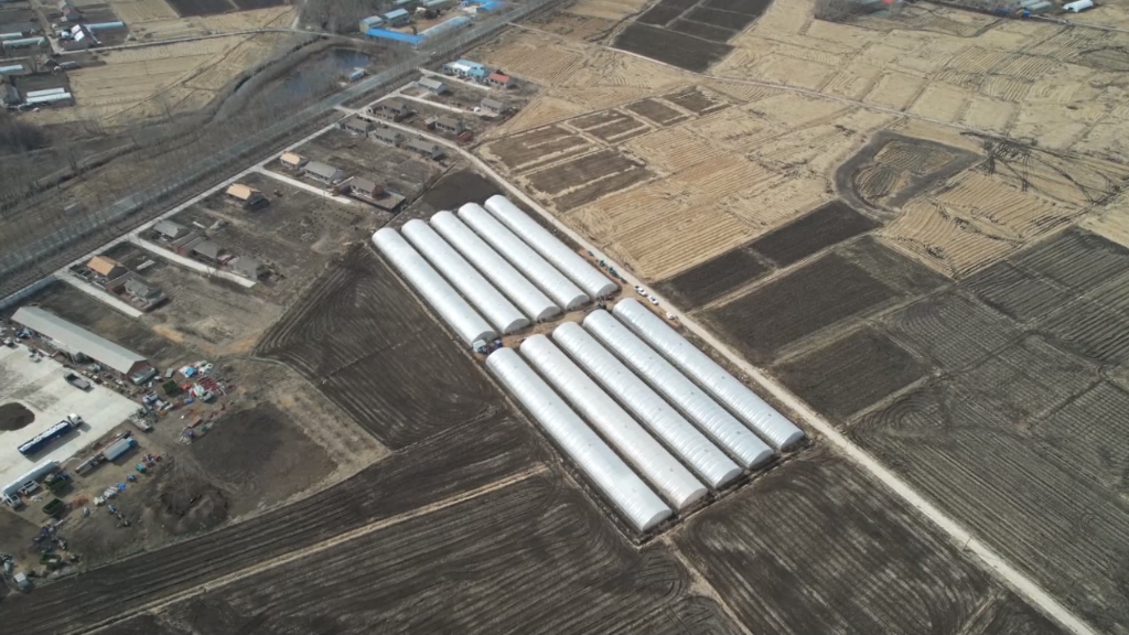 不讓疫情誤農情！農業(yè)大省吉林打通堵點(diǎn)&ldquo;硬核&rdquo;備春耕