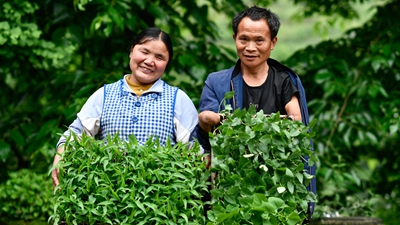 你是我的眼，我是你的手