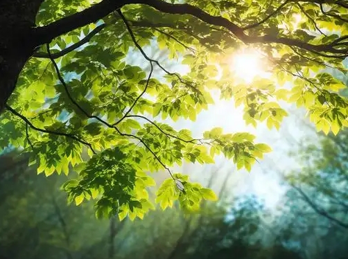 “守護心‘晴’——全民心理健康服務(wù)公益行動(dòng)”落地江西武寧  