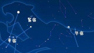 虎年來(lái)了，抬頭尋找天上的“白虎”