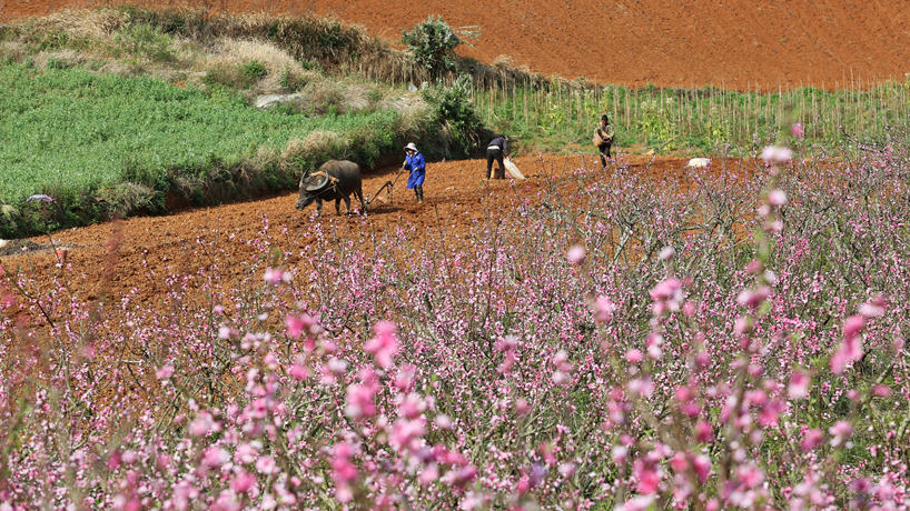 不負春光不誤農時(shí)