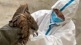 “給動(dòng)物一個(gè)溫暖的家，用愛(ài)照亮前行的路”