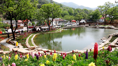 休閑、教育、養老……“三農”變化之農業(yè)新功能