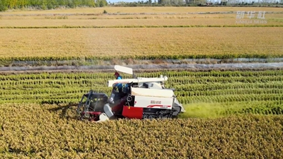 “95后”新農人：在希望的田野上“播種”夢(mèng)想