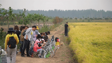 田園變“游園”，活力鄉村引客來(lái)