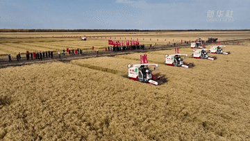 黑龍江：智慧農業(yè)助力豐產(chǎn)豐收