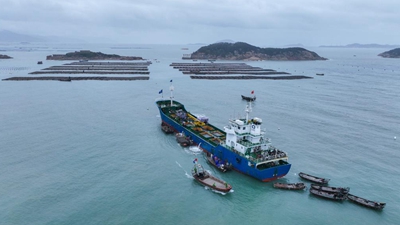 “南北轉場(chǎng)”助力鮑魚(yú)養殖提升效益