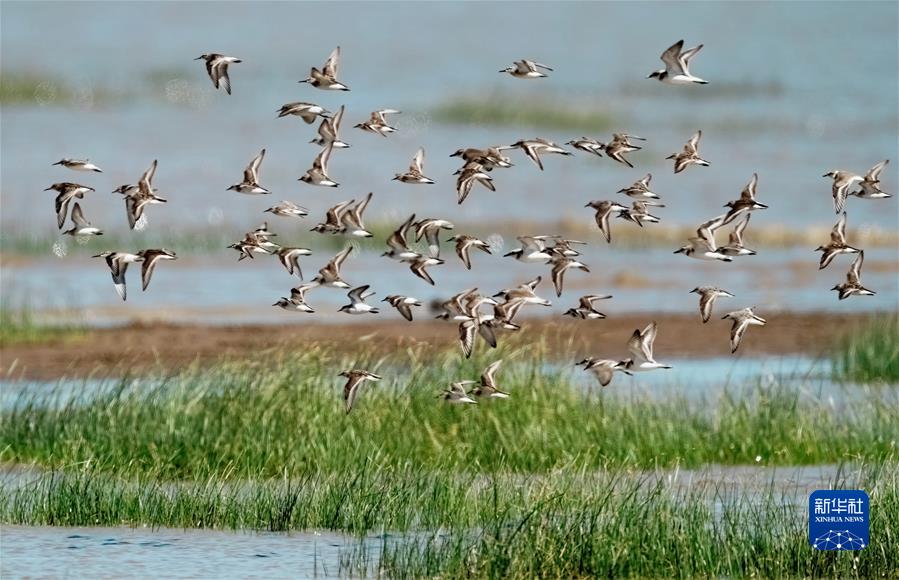 (江河奔騰看中國)(10)綠色閩江 清新福建