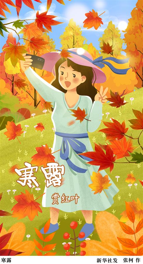 （圖表·插畫(huà)）［二十四節氣·寒露］寒露（三）