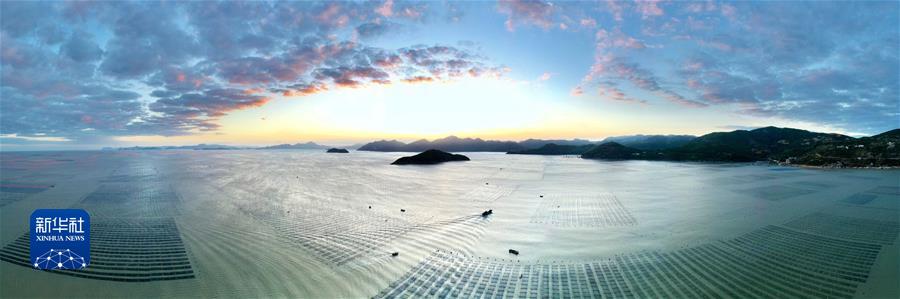 （鏡觀(guān)中國·新華社國內新聞?wù)掌恢芫x）（5）福建海上紫菜秋收忙