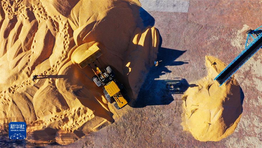 （鏡觀(guān)中國·新華社國內新聞?wù)掌恢芫x）（8）內蒙古通遼玉米迎豐收