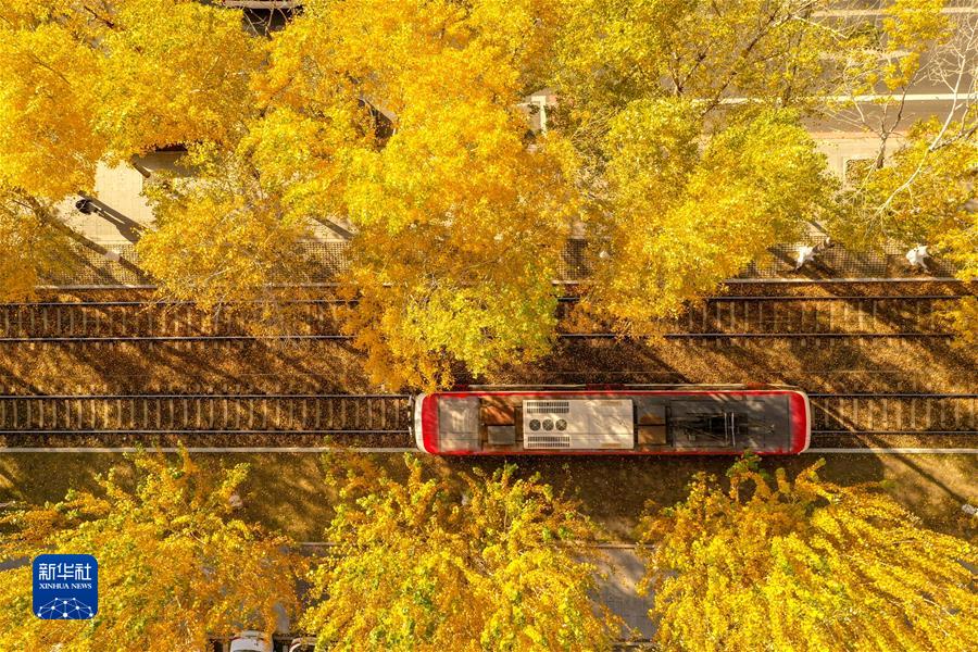 （鏡觀(guān)中國·新華社國內新聞?wù)掌恢芫x）（10）長(cháng)春秋景