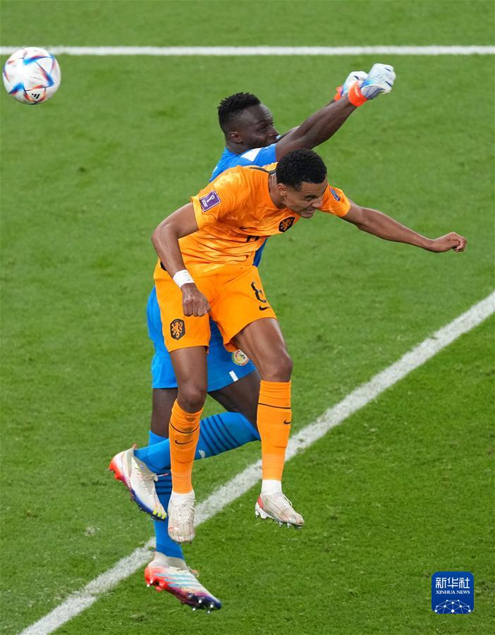 (卡塔爾世界杯)足球——A組:荷蘭戰勝塞內加爾