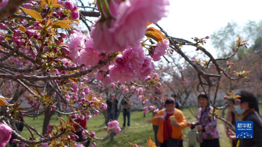 #（社會(huì )）（8）擁抱春天 樂(lè )享春光