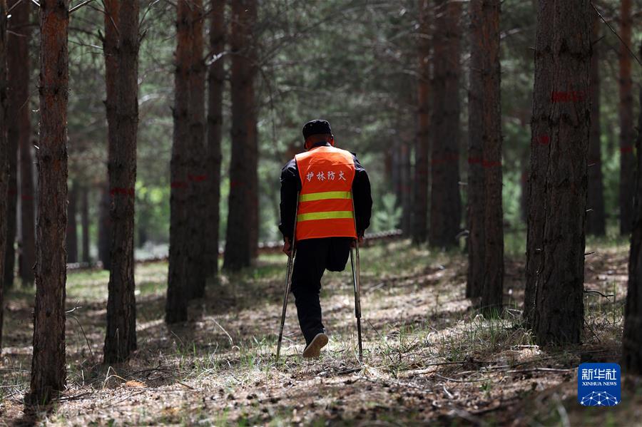 (鏡觀(guān)中國·新華社國內新聞?wù)掌恢芫x)(3)29年的守護 只為一片林海