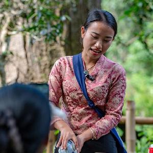 （社會(huì )）（4）“普洱景邁山古茶林文化景觀(guān)”成功申遺