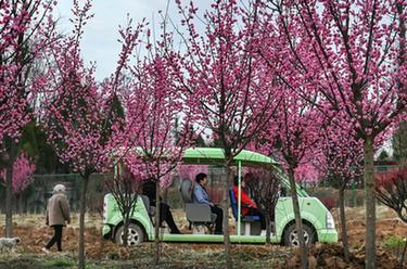 陜西洛南:打造秦嶺山水鄉村
