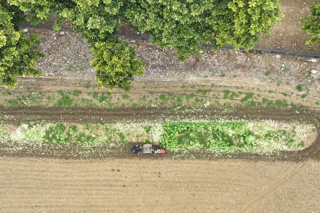 春暖農忙正當時(shí)