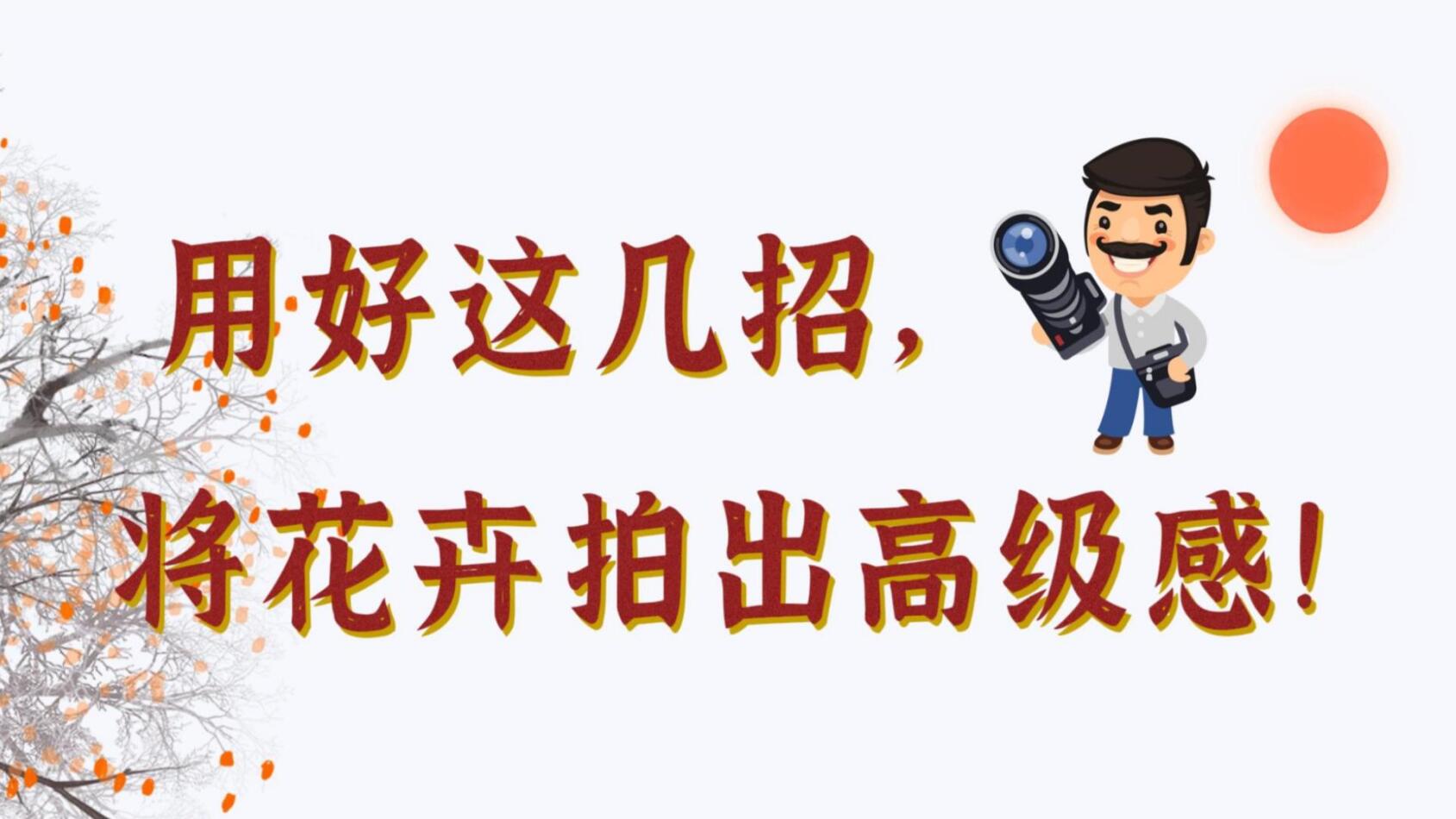 【光影輕課堂】用好這幾招，將花卉拍出高級感！