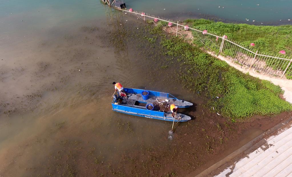 甘肅劉家峽:清漂護黃河