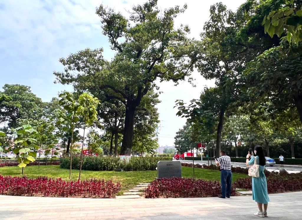 焦裕祿精神，一座永不磨滅的豐碑！