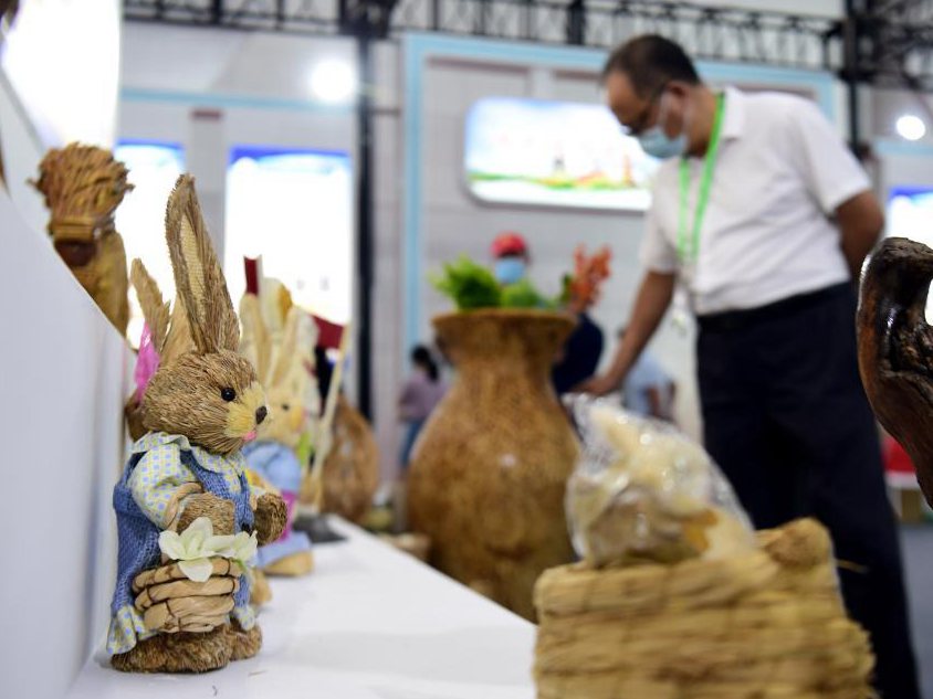 新華全媒+丨秸稈利用 變廢為寶——打卡“安徽秸稈博覽會(huì )”