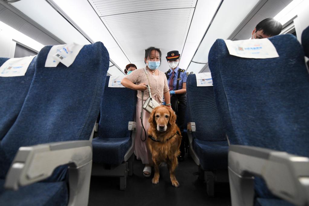 鏡觀(guān)中國·新華社國內新聞?wù)掌恢芫x