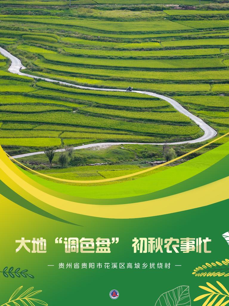 新華全媒+丨大地“調色盤(pán)” 初秋農事忙