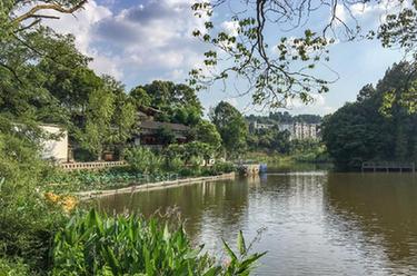 讓鄉村老院子煥發(fā)活力——重慶巴南豐富旅游民宿供給觀(guān)察
