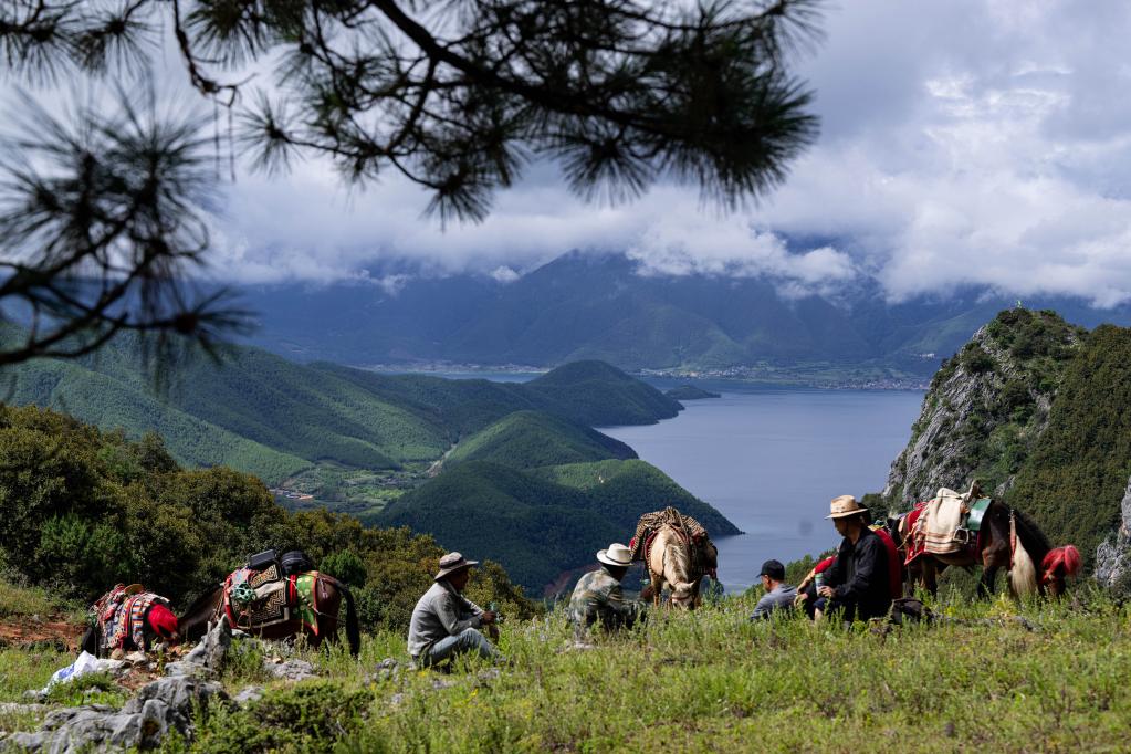 鏡觀(guān)中國·新華社國內新聞?wù)掌恢芫x