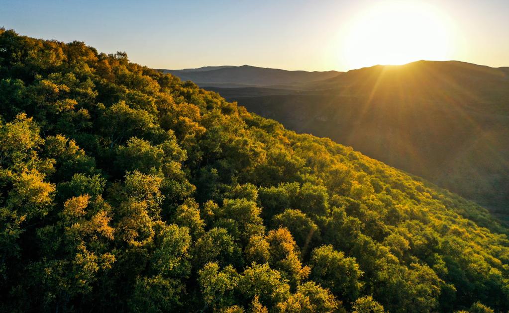 呼和浩特:秋染大青山