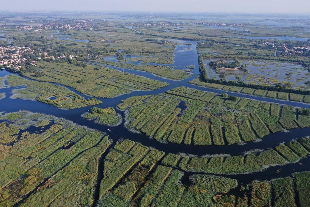 新華全媒+丨探訪(fǎng)雄安新區白洋淀“鳥(niǎo)島”