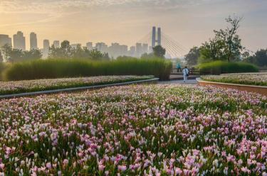 新華全媒+丨陜西漢中:守護漢江清泉 繪就生態(tài)藍圖
