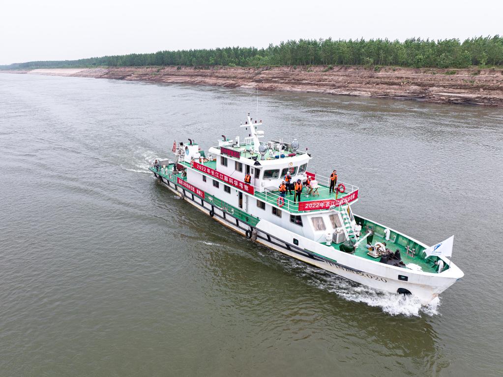 新華全媒+丨現場(chǎng)直擊長(cháng)江江豚科考