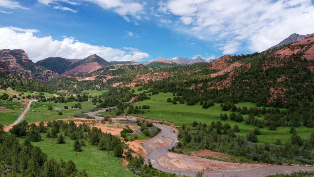 喜迎二十大丨青海:“生態(tài)優(yōu)先”引領(lǐng)綠色發(fā)展